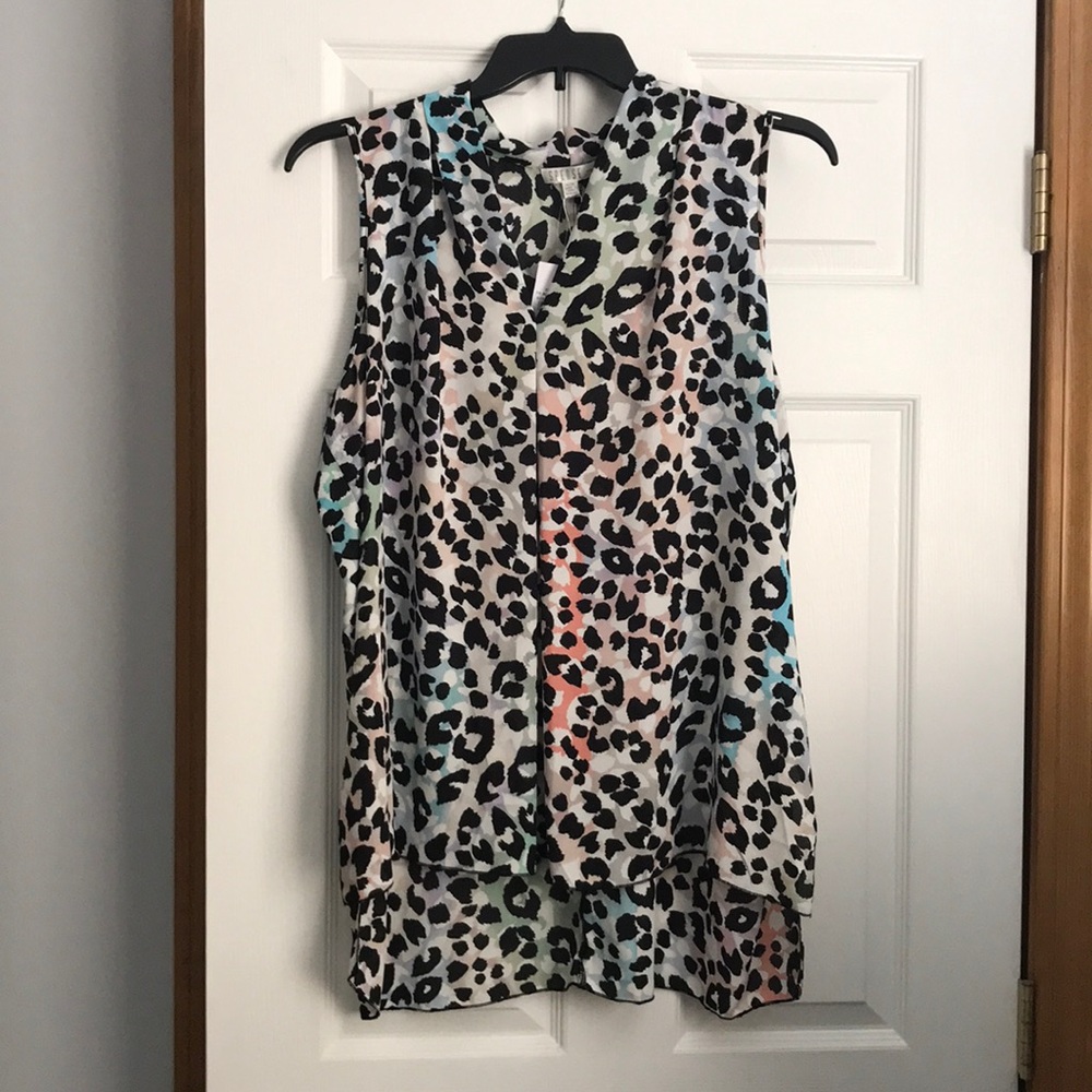 Sheer Dressy Tank Blouse